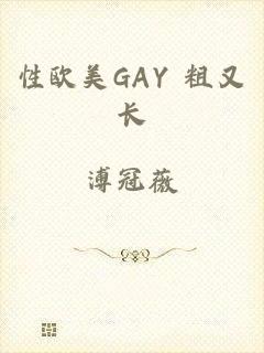 性欧美GAY 粗又长